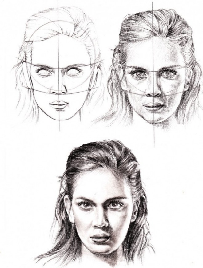 Anatomic study
