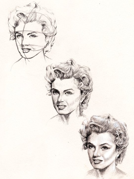 Anatomic study