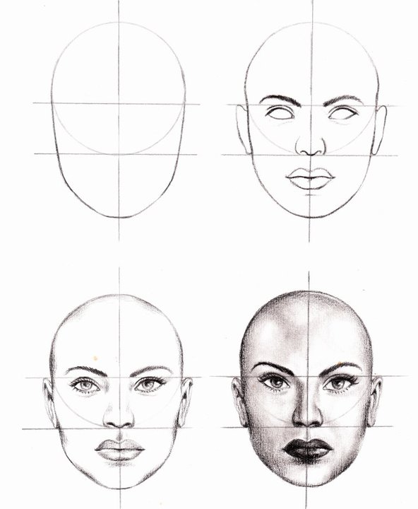 Anatomic study
