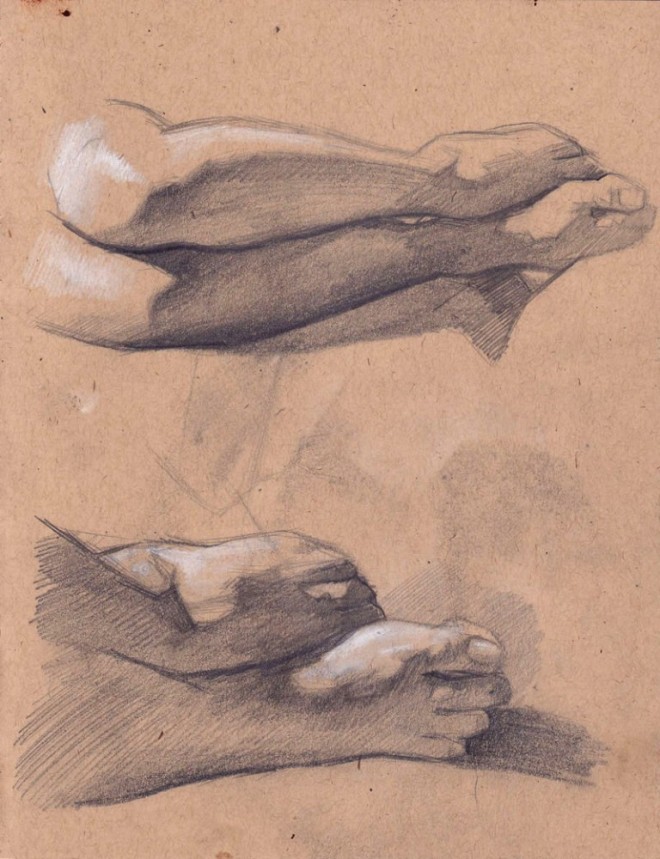 Snail a Sketch Snetches by Shreya Shetty
