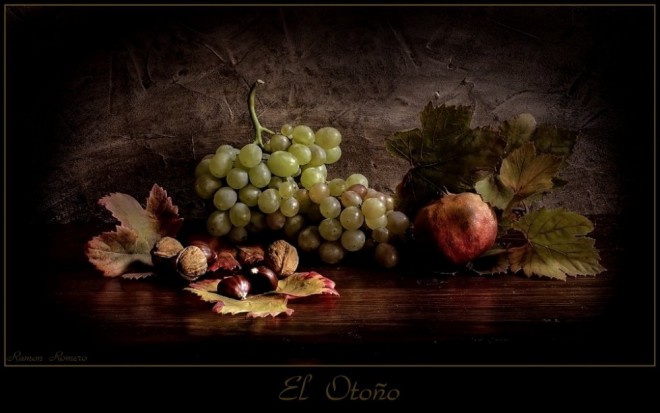 Still Life Oil Painting by Ramon Romero