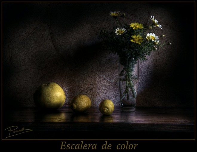 Still Life Oil Painting by Ramon Romero
