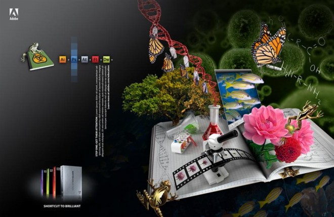 adobe creative campaign splash design