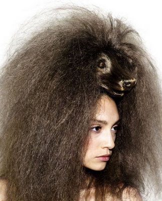 animal hair style