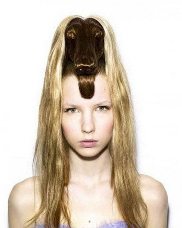 animal hair style