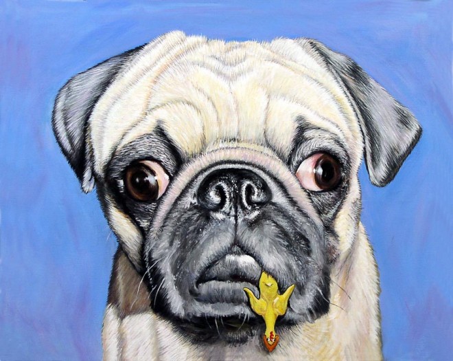 Pug with Chew Toy