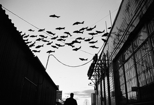 photomanipulation2