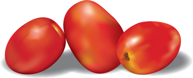 vector illustrator objects