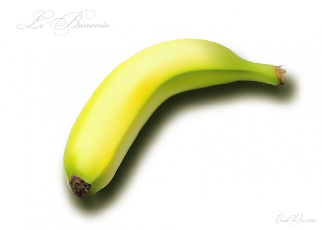 vector illustrator objects