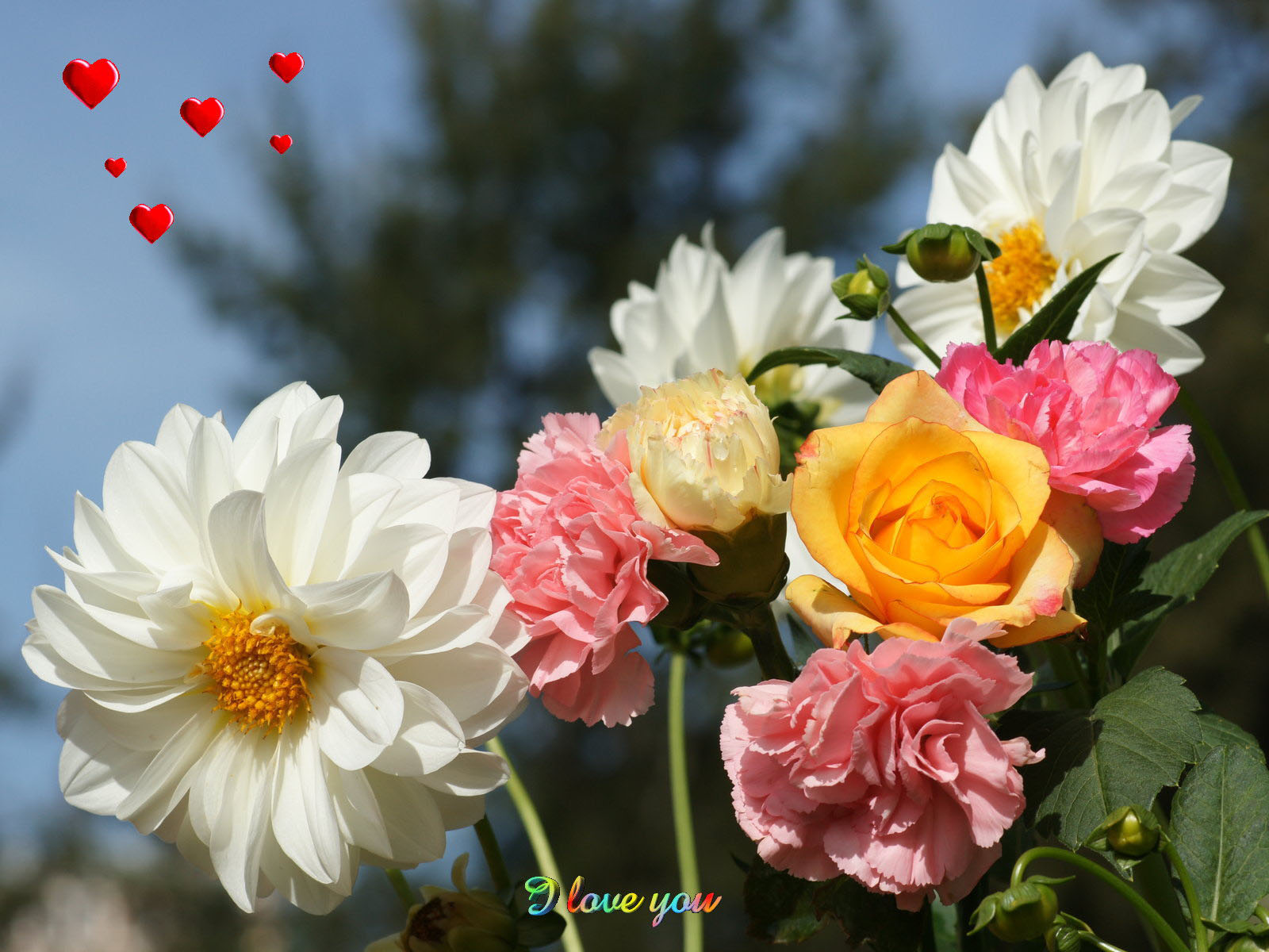 flower wallpaper 27