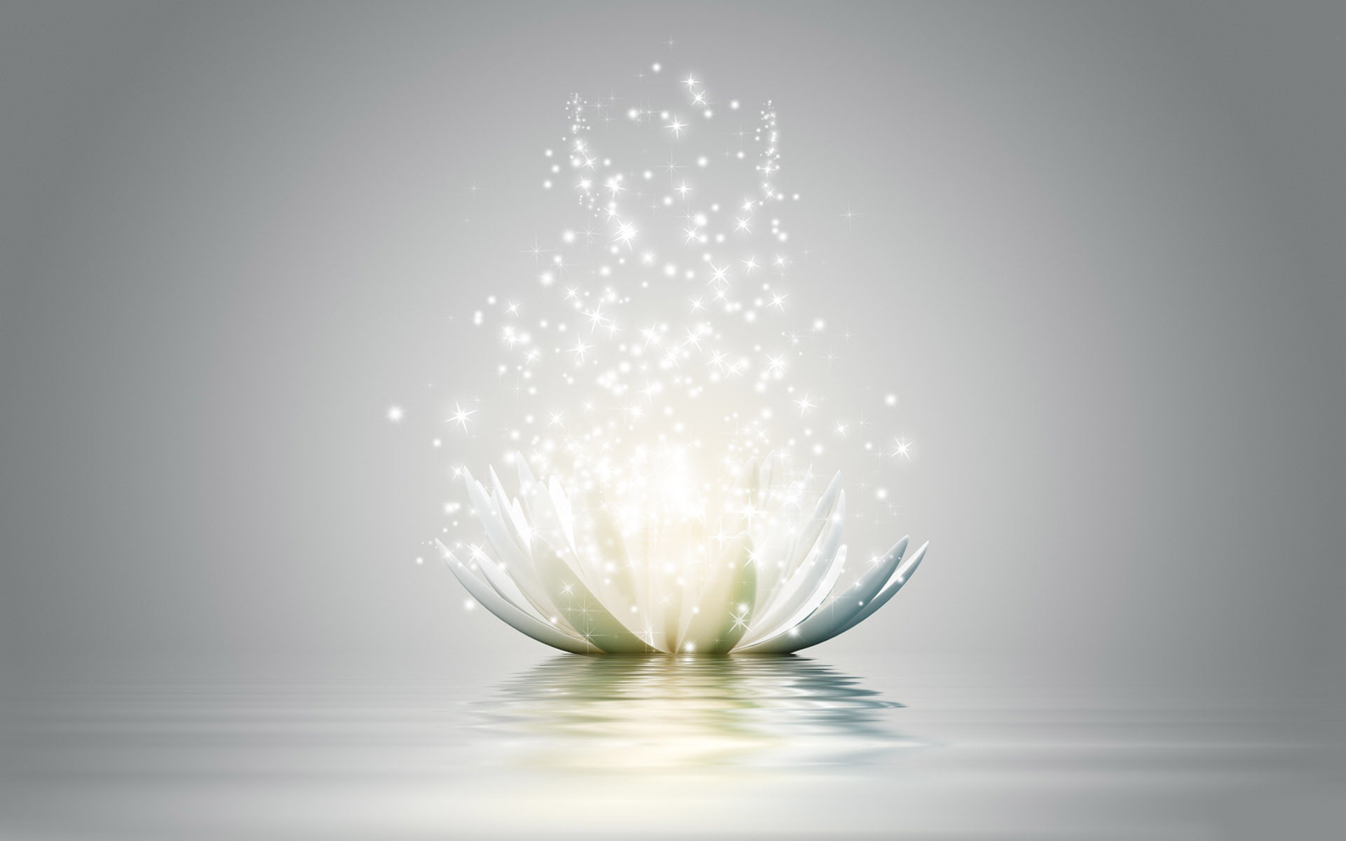 flower wallpapers 37
