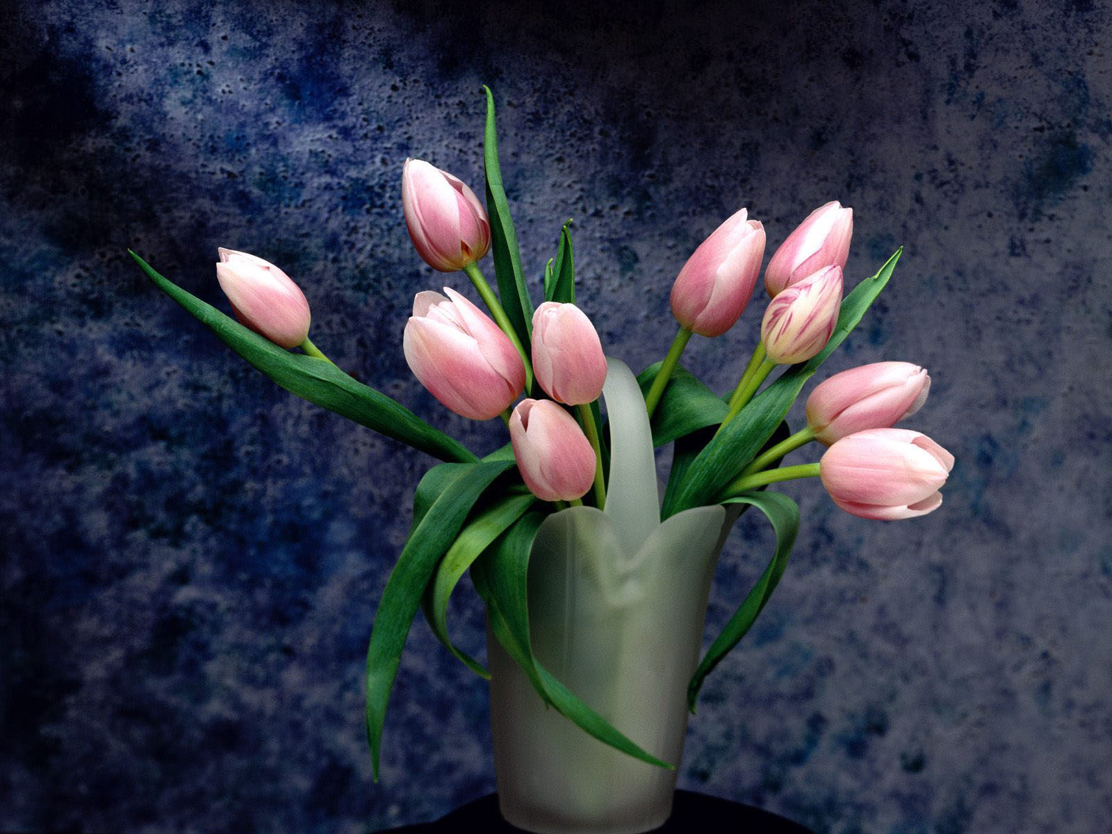 flower wallpaper 6