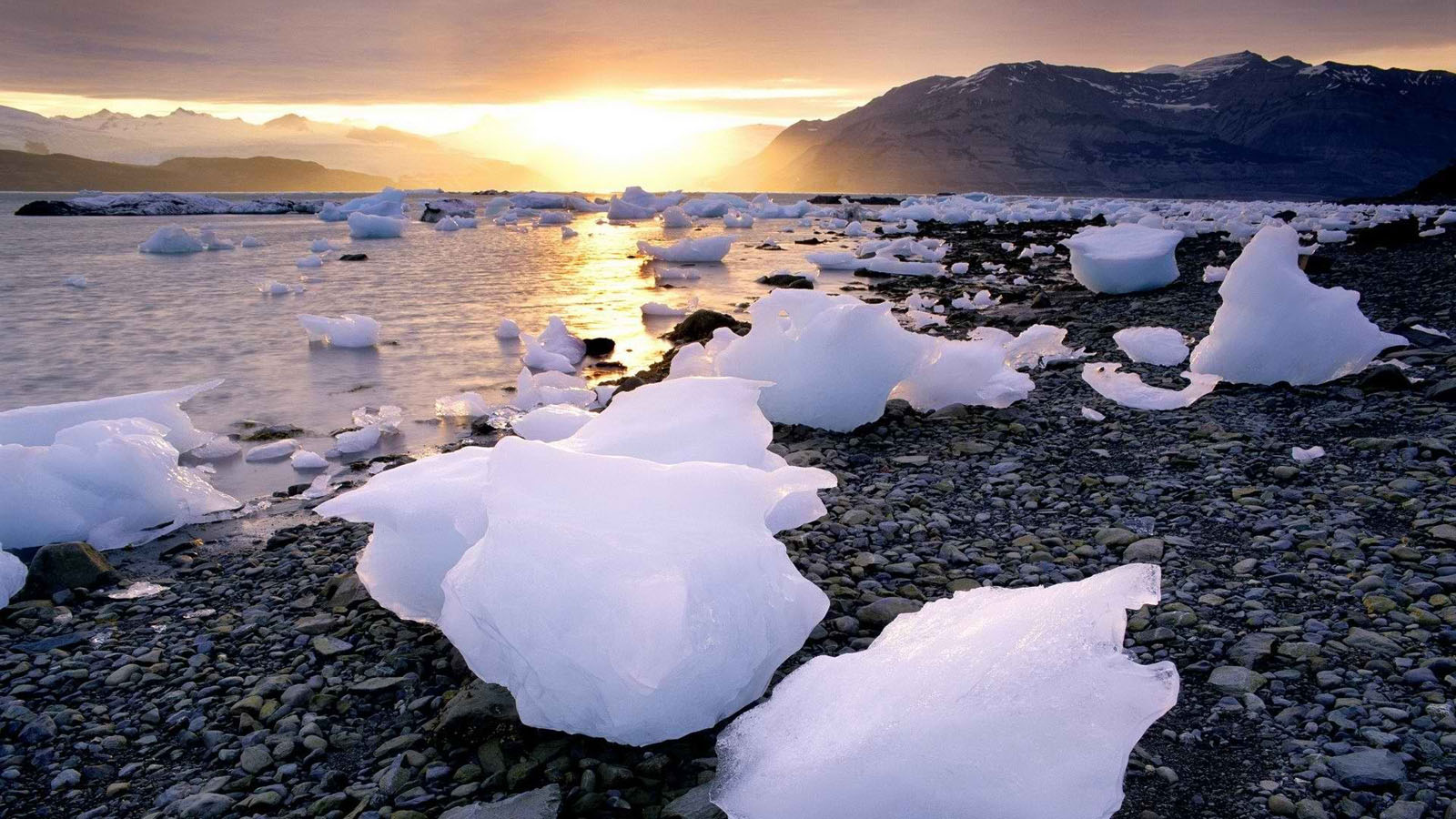 icy sea wallpaper