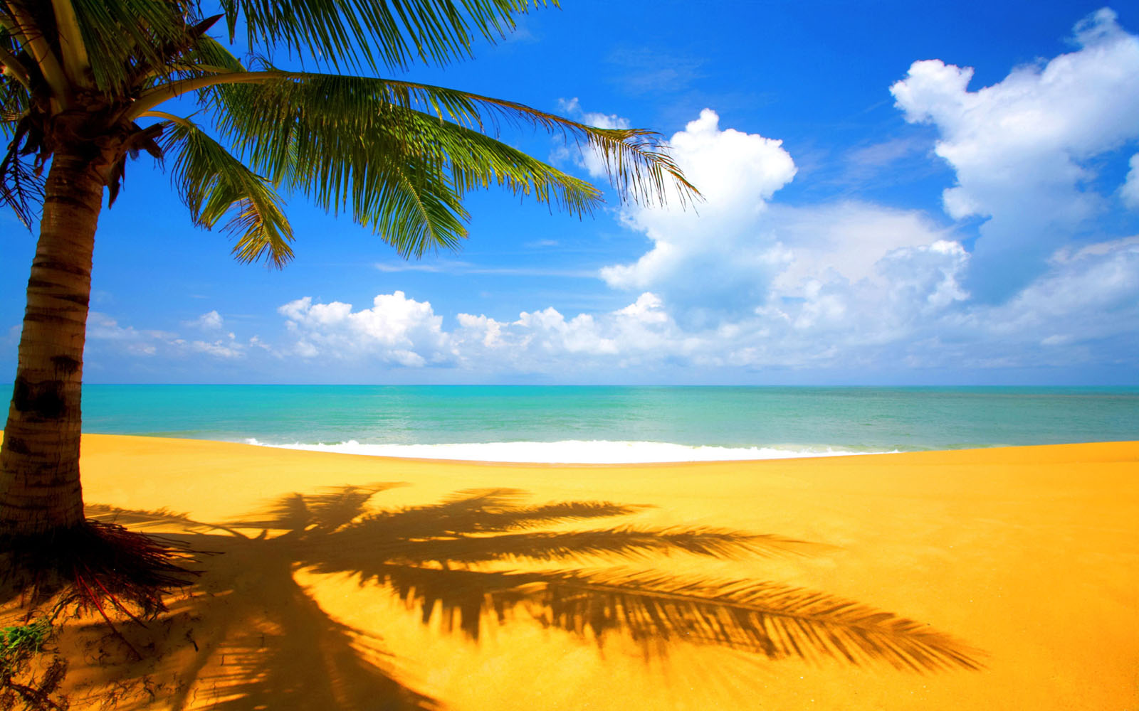 beach scenery wallpaper