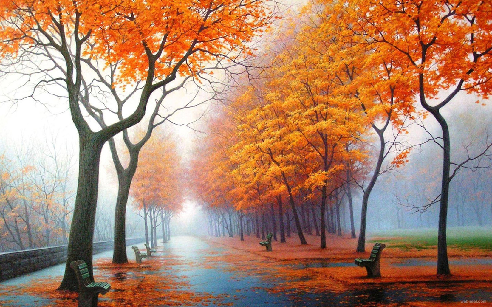 rain wallpaper scenary