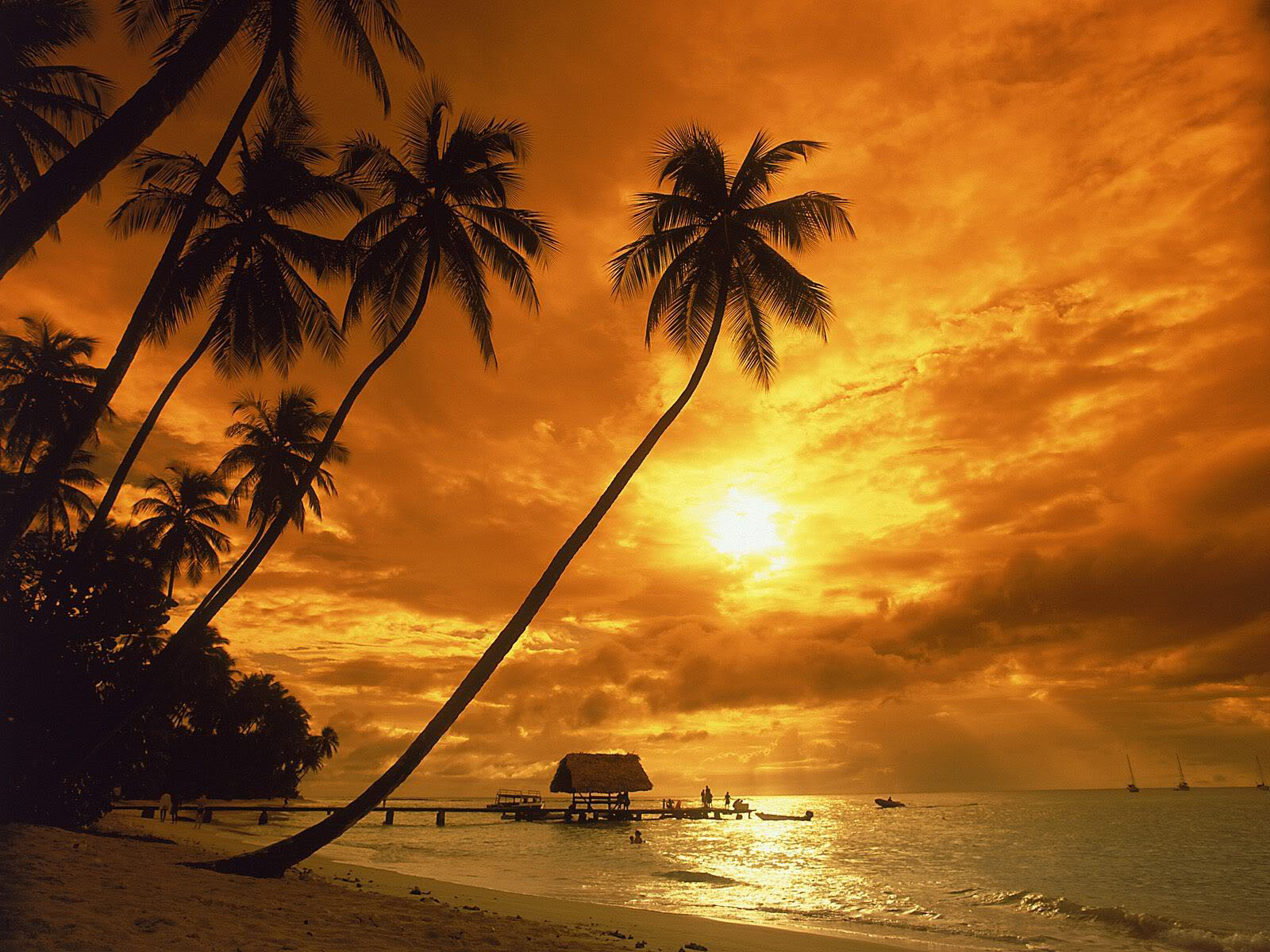 sunrise 1