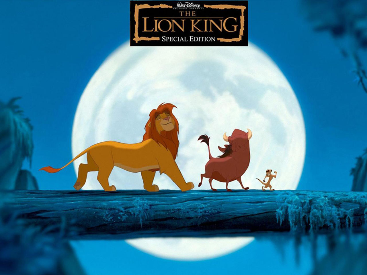 lion king movie wallpaper 4