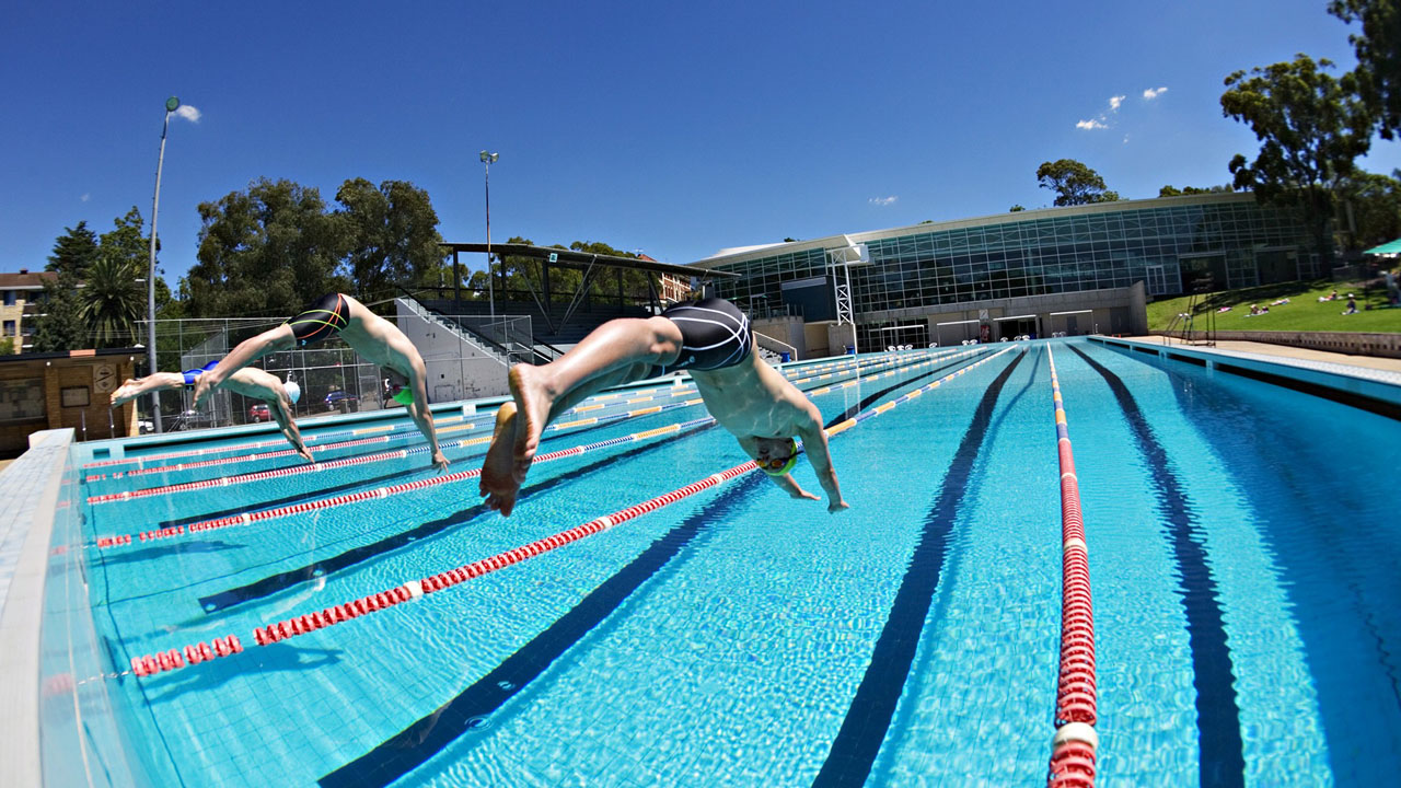diving hd wallpaper