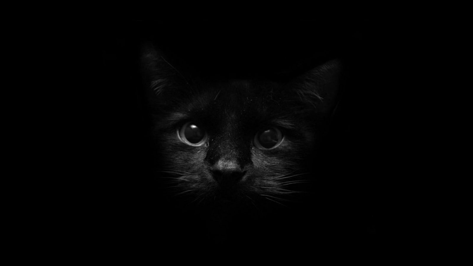 black wallpaper 2