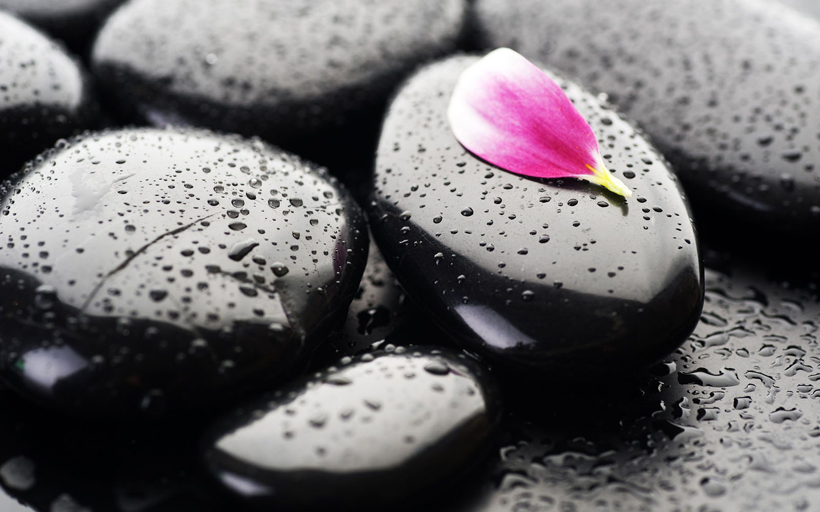 black wallpaper 20