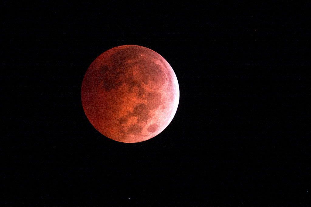 12-blood-moon-lunar-eclipse-photography-by-dary-shelton